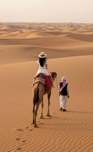 CAMEL TOUR (WITH FALCON)