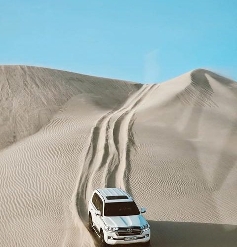 FULL DAY DESERT SAFARI