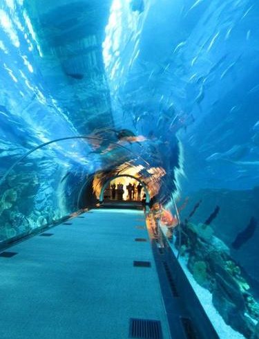 HALF DAY SAFARI WITH AQUARIUM