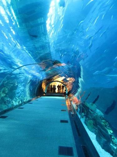 HALF DAY SAFARI WITH AQUARIUM