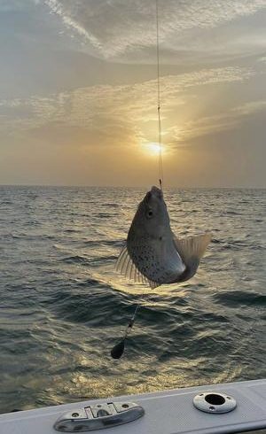 SPEED BOAT FISHING TRIP (DEEP SEA)