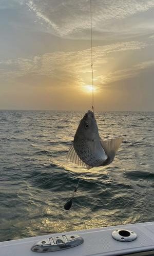 SPEED BOAT FISHING TRIP (DEEP SEA)